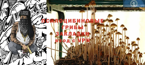 дживик Гусь-Хрустальный
