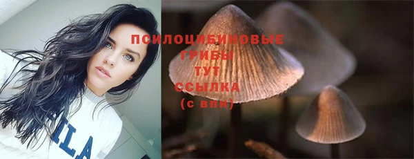 дживик Гусь-Хрустальный