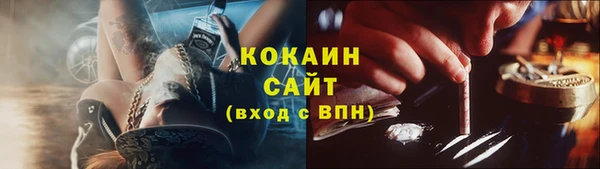дживик Гусь-Хрустальный