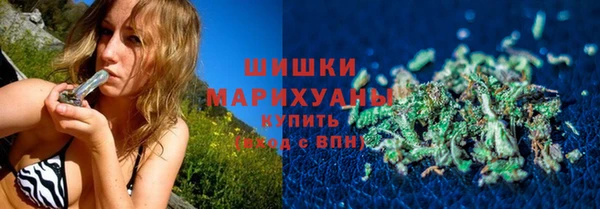 дживик Гусь-Хрустальный