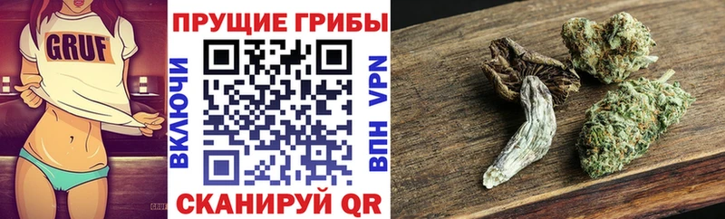 Псилоцибиновые грибы Magic Shrooms Чёрмоз
